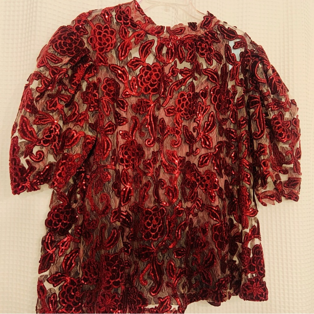 Anthropologie Burgundy Sequin Lace Blouse